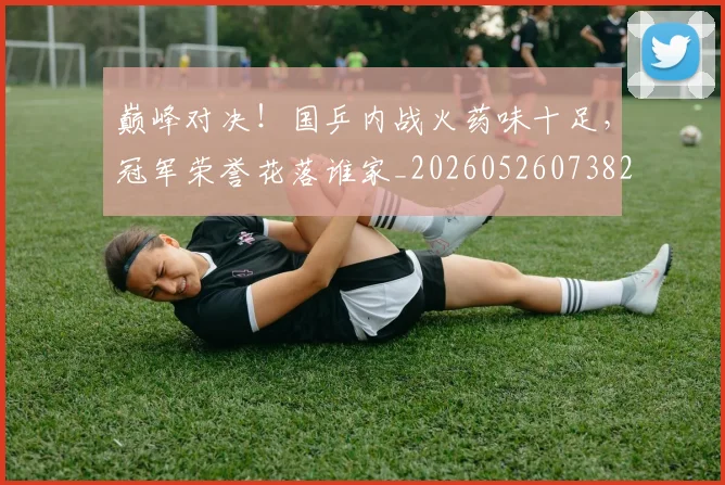 巅峰对决！国乒内战火药味十足，冠军荣誉花落谁家_20260526073821
