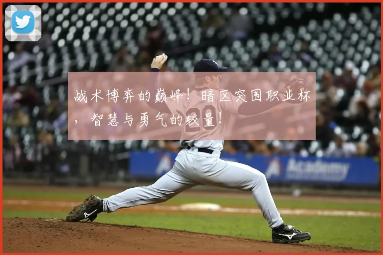 战术博弈的巅峰!暗区突围职业杯,智慧与勇气的较量!