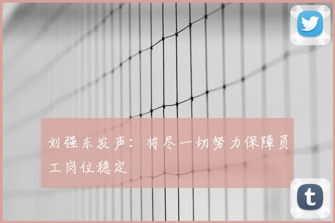 刘强东发声：将尽一切努力保障员工岗位稳定