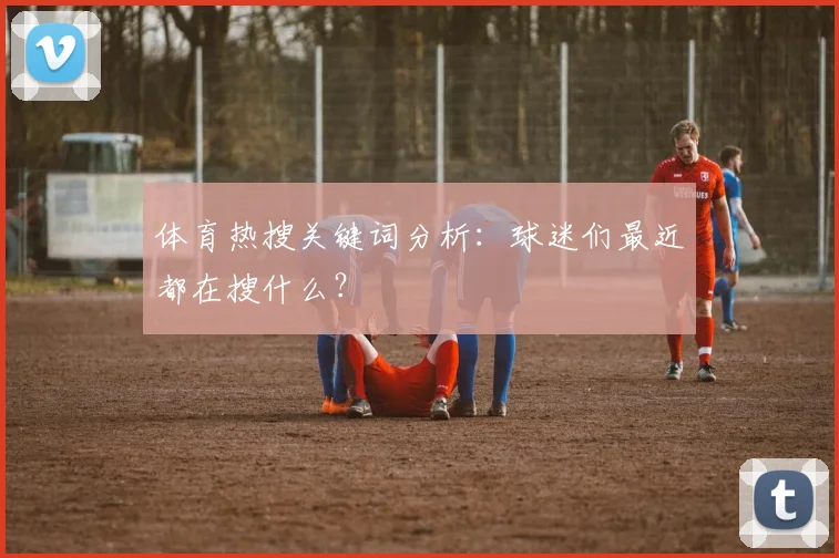 体育热搜关键词分析:球迷们最近都在搜什么?